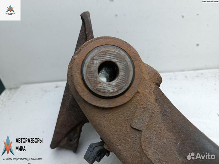 Рычаг задний левый Citroen C5 рест. 2005 ARG