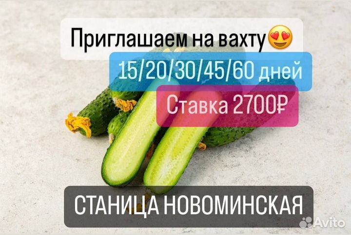 Разнорабочий на консервный завод/Лучшие условия