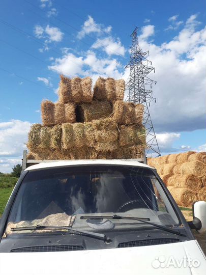 Сено луговое в тюках