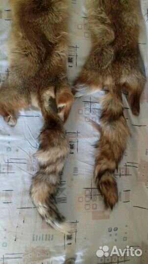 Шкурка лисы