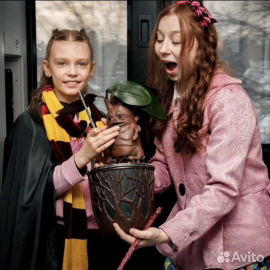 Поезд Гарри Поттер/Магический Экспресс