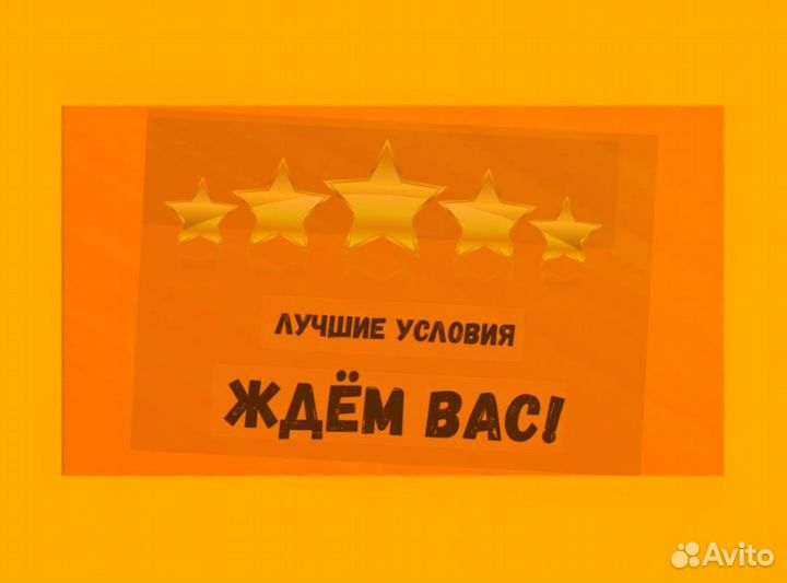 Подсобные рабочие Авансы еженедельно /Спецодежда Выплаты в срок без опыта