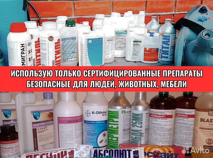 Уничтожение тараканов, клопов, плесени Дезинфекция