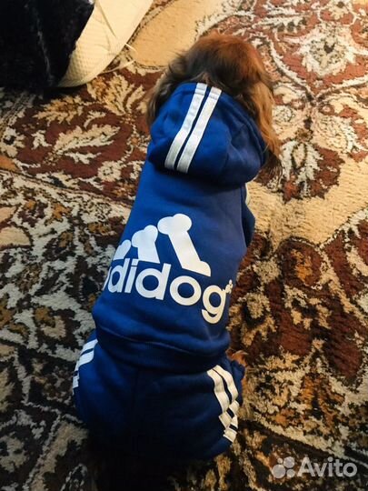 Костюмчик тёплый