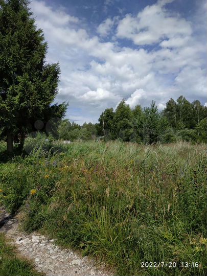 Участок 15 сот. (СНТ, ДНП)