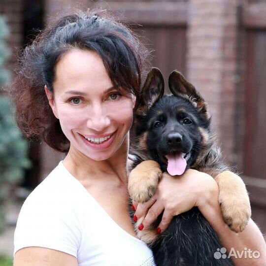 Щенки на любой вкус