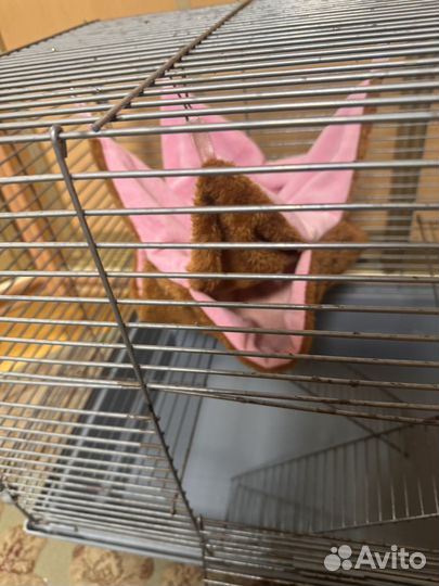 Клетка для грызунов
