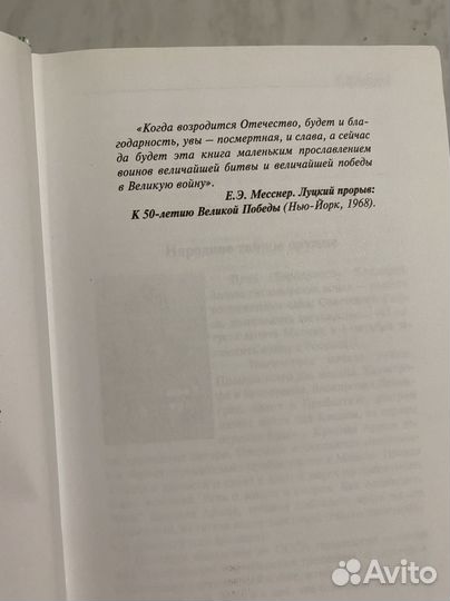 Диверсанты западного фронта Боярский