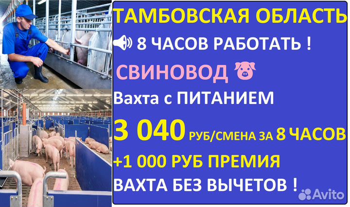 Свиновод 8 часов работы Вахта Тамбовская обл