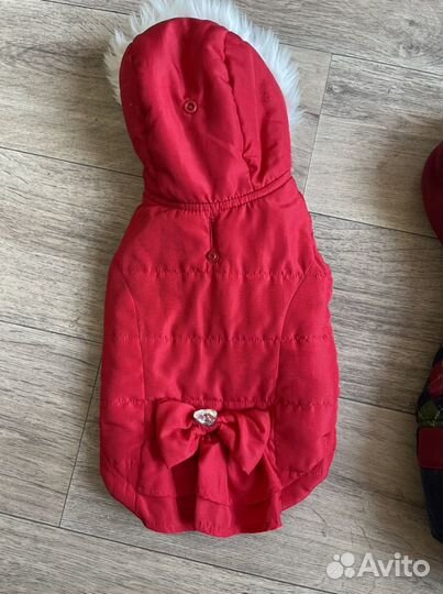 Одежда для собак