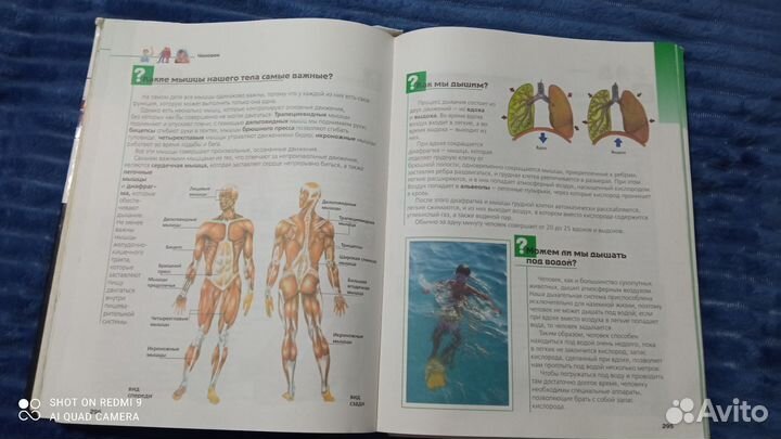 Большая детская книга вопросов и ответов