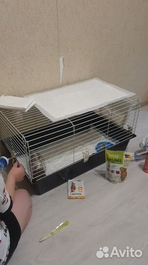 Клетка для грызунов большая