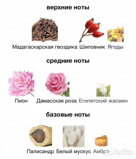 Premiere note rosa damas