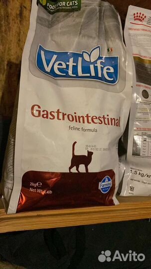 Корм для кошек