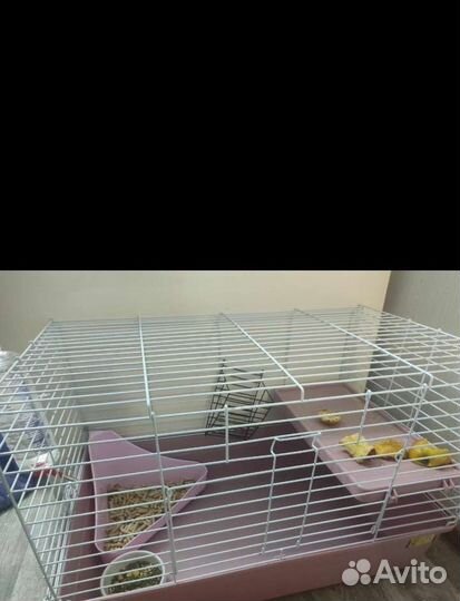 Клетки и вольеры