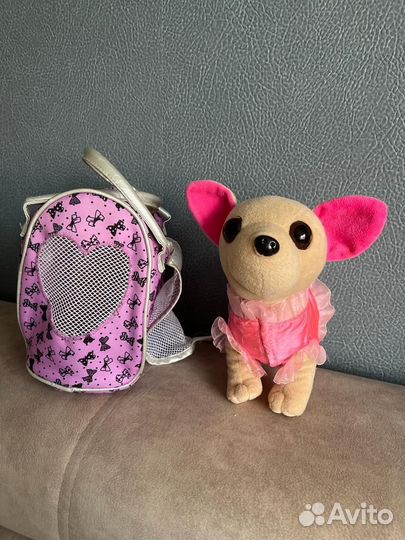 Собачка чичилав