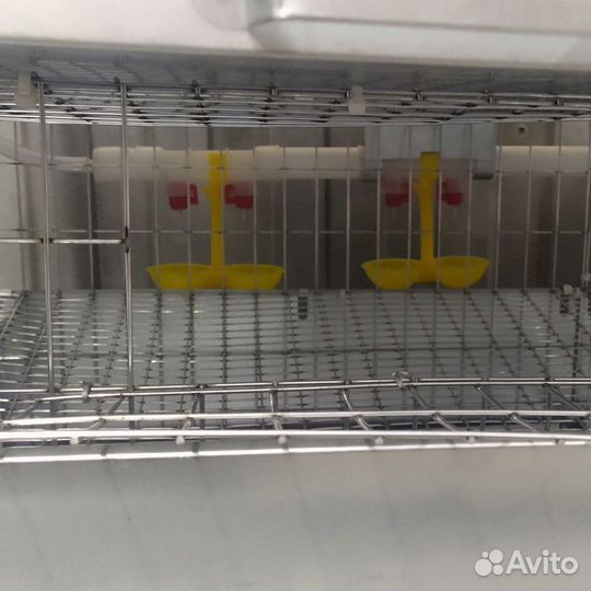 Клетка для перепелов до 150 голов Уржумка 3 яруса