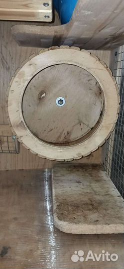 Витрина клетка для шиншилл