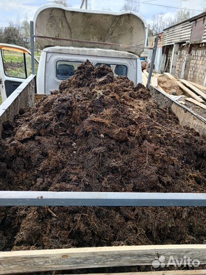 Навоз коровый