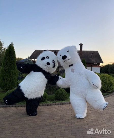 Поздравления/Аниматоры на все праздники/Аэромишка