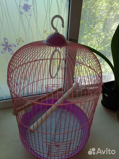Клетка для попугая бу