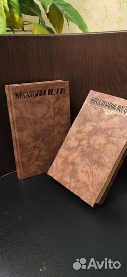 М.Е.Салтыков-Щедрин