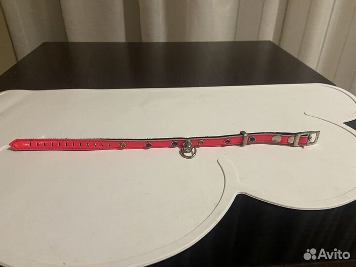 Ошейник для маленькой собаки