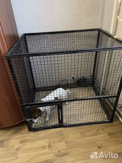 Вольер для собак