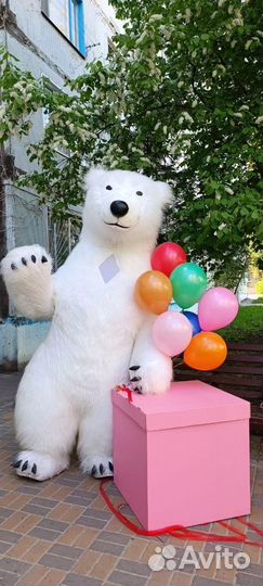 Белый медведь, шоу на праздник, аниматор