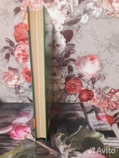 Энциклопедия народной медицины