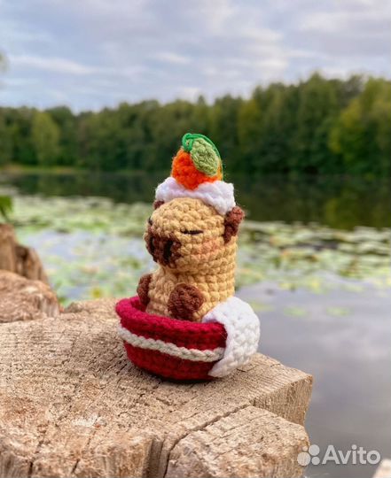 Вязаные игрушки Капибара