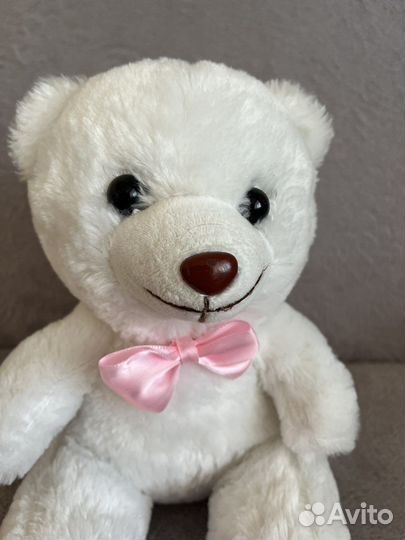 Медвежонок с секретом