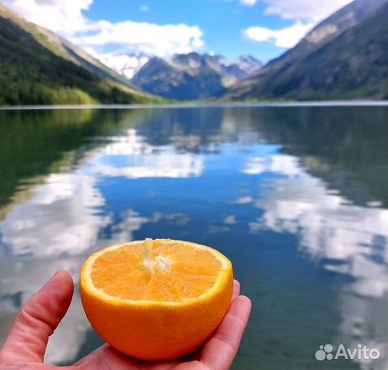 Тур Бирюзовые Мультинские Озёра: Треккинг Налегке