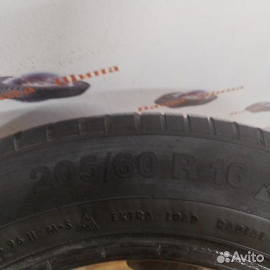 Continental ContiWinterContact TS 830 P 205/60 R16
