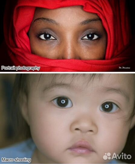 Софтбокс для портретов и макро съемок кольцевой