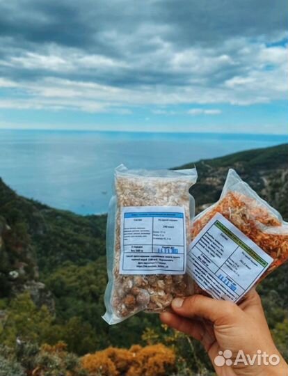 Туристическое питание