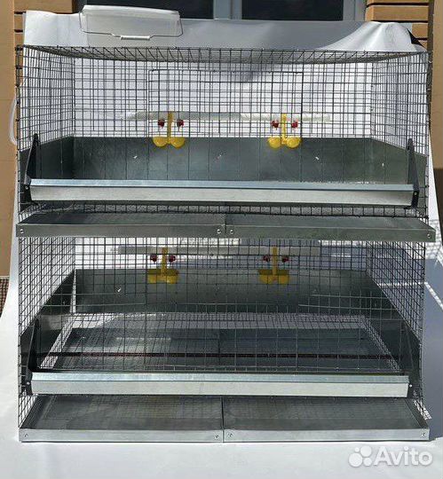 Клетки новые для кур бройлеров