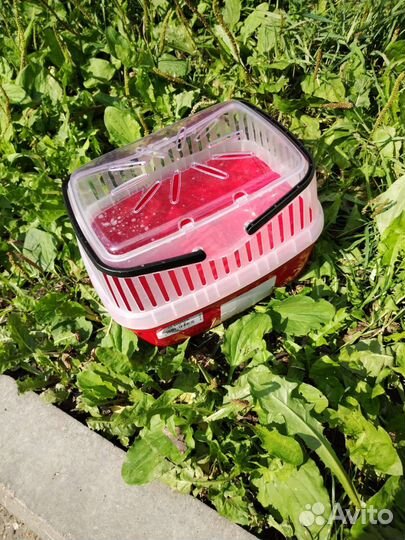 Клетка для грызунов и переноска