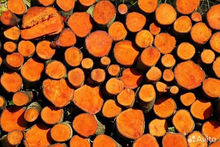 Декоративные спилы