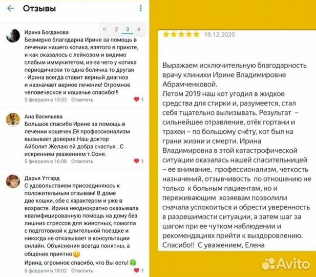 Ветеринарный врач на дом. Ветеринар