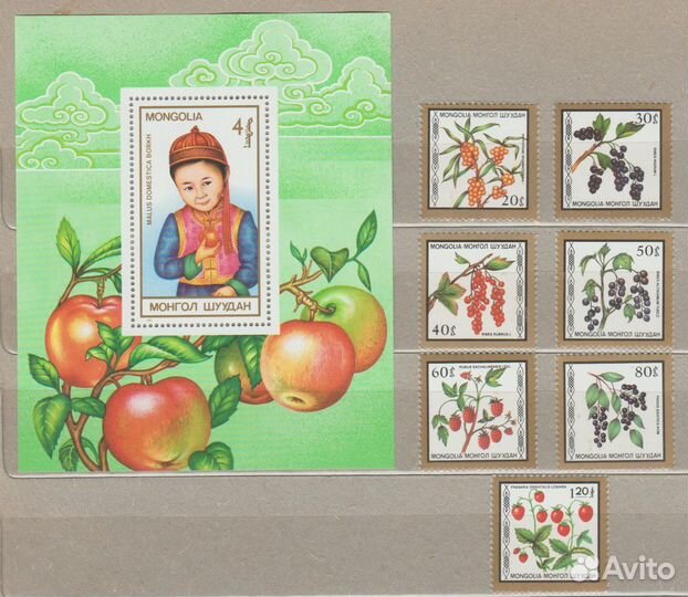 Флора Плоды серия чистая Монголия 1987
