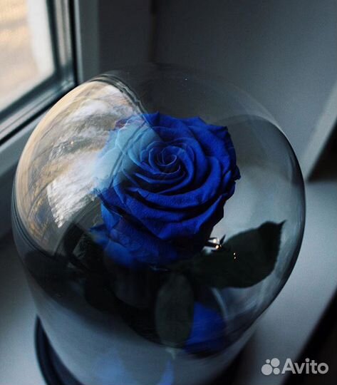 Роза в колбе