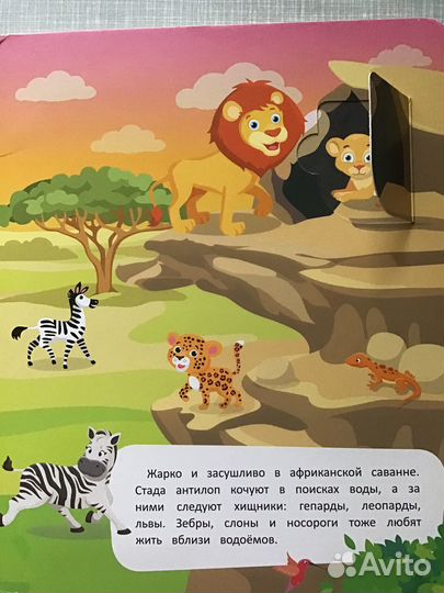 Животный мир: книжка с клапанами (окошками).2019