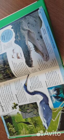 Книги, энциклопедии