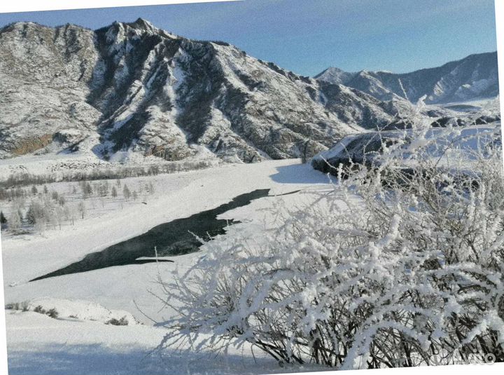 Путевка на Алтай зимой экскурсия до 7 дн