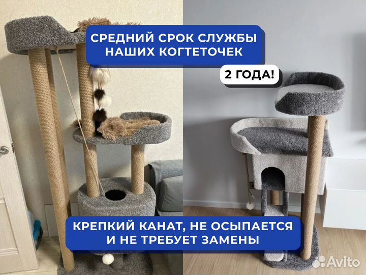 Когтеточка