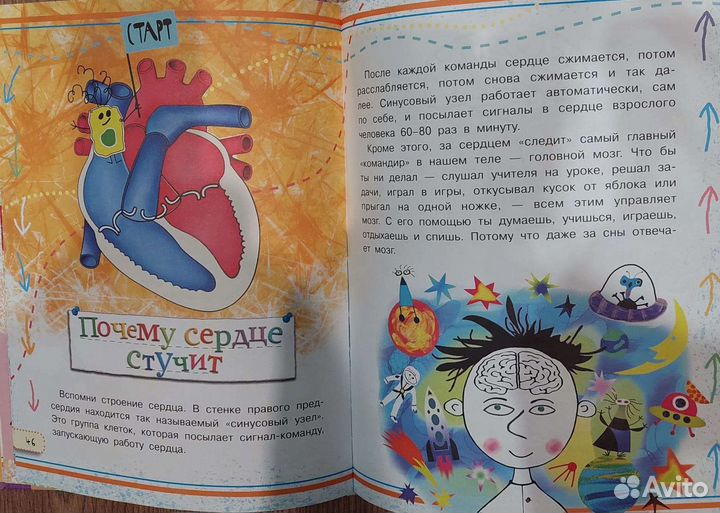 Как устроен человек. Детская энциклопедия