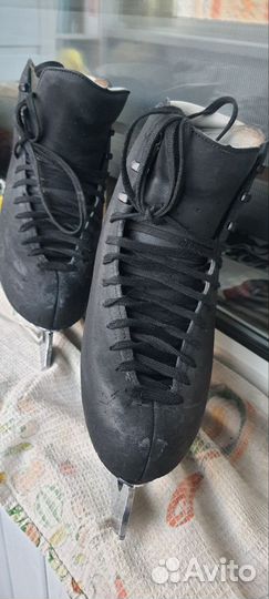 Коньки фигурные edea Chorus 250