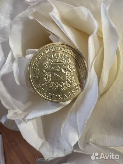 10 рублевая монета «Владикавказ»