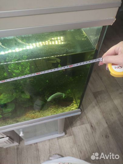 Аквариум с тумбой